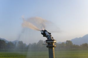 Eficiencia hídrica en la agricultura_ guía completa