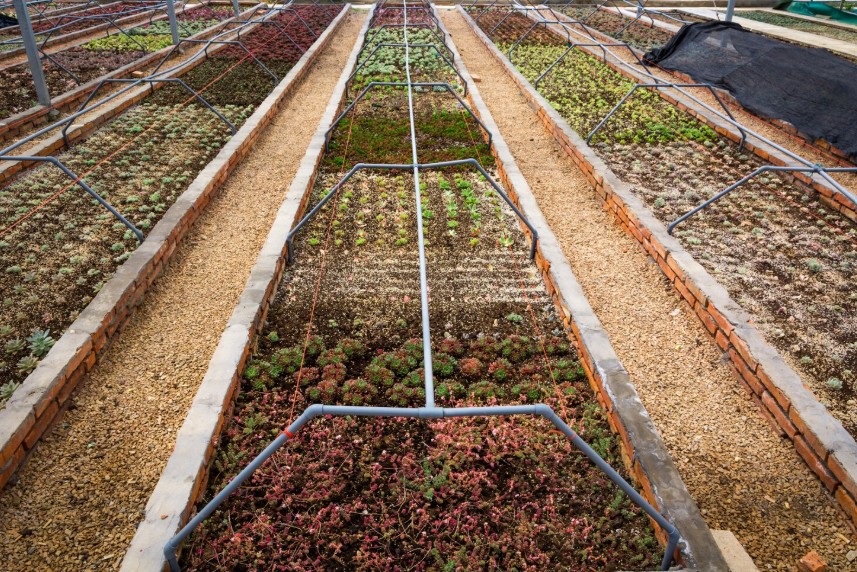 Cómo dimensionar un equipo de bombeo para riego agrícola