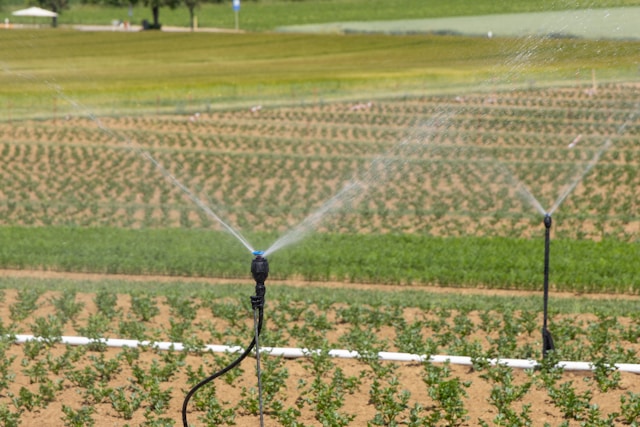 Riego agrícola_ guía para ahorrar agua y costes