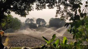 Riego eficiente_ claves para producir con menos agua