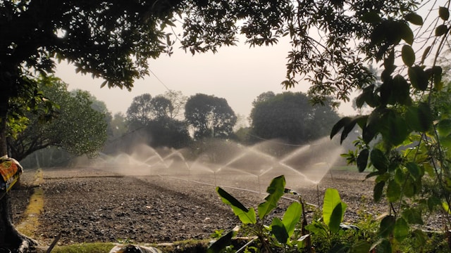 Riego eficiente_ claves para producir con menos agua