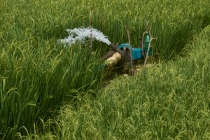 Bomba de agua agrícola: tipos, caudal y presión