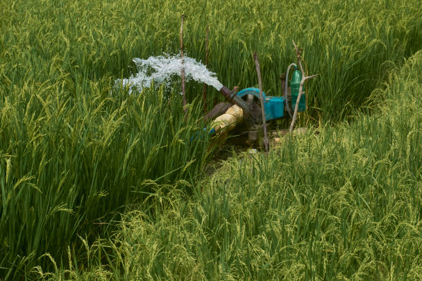 Bomba de agua agrícola: tipos, caudal y presión